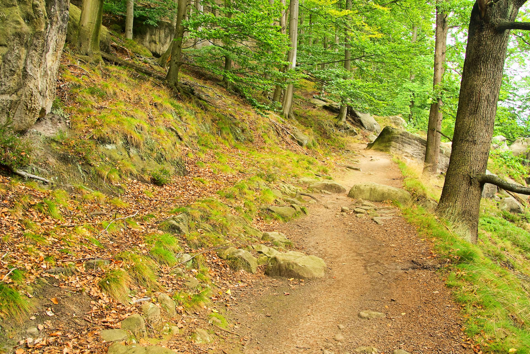 Hike for Hope 2015