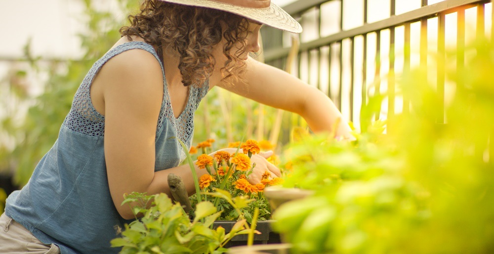 Benefit gardening mental health