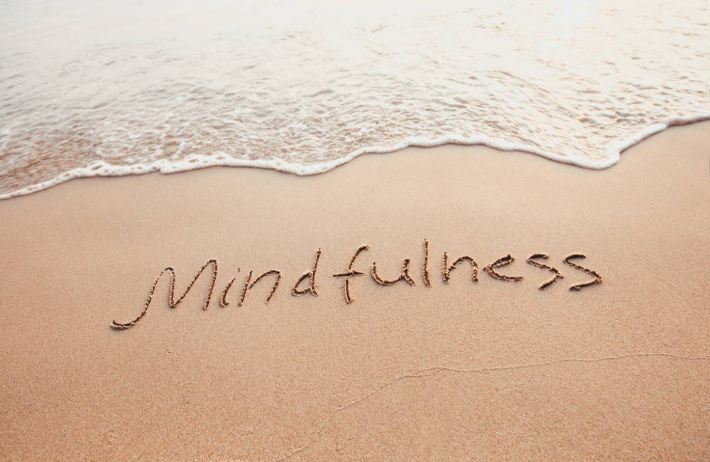 Finding Harmony Through the Practice of Mindfulness | Find Balance