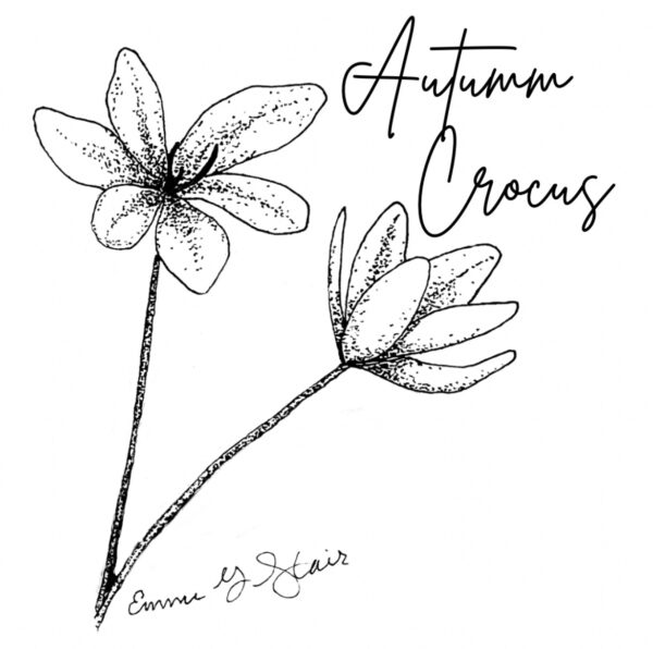 Reflections from the Iris Respite House Healing Gardens September 2023