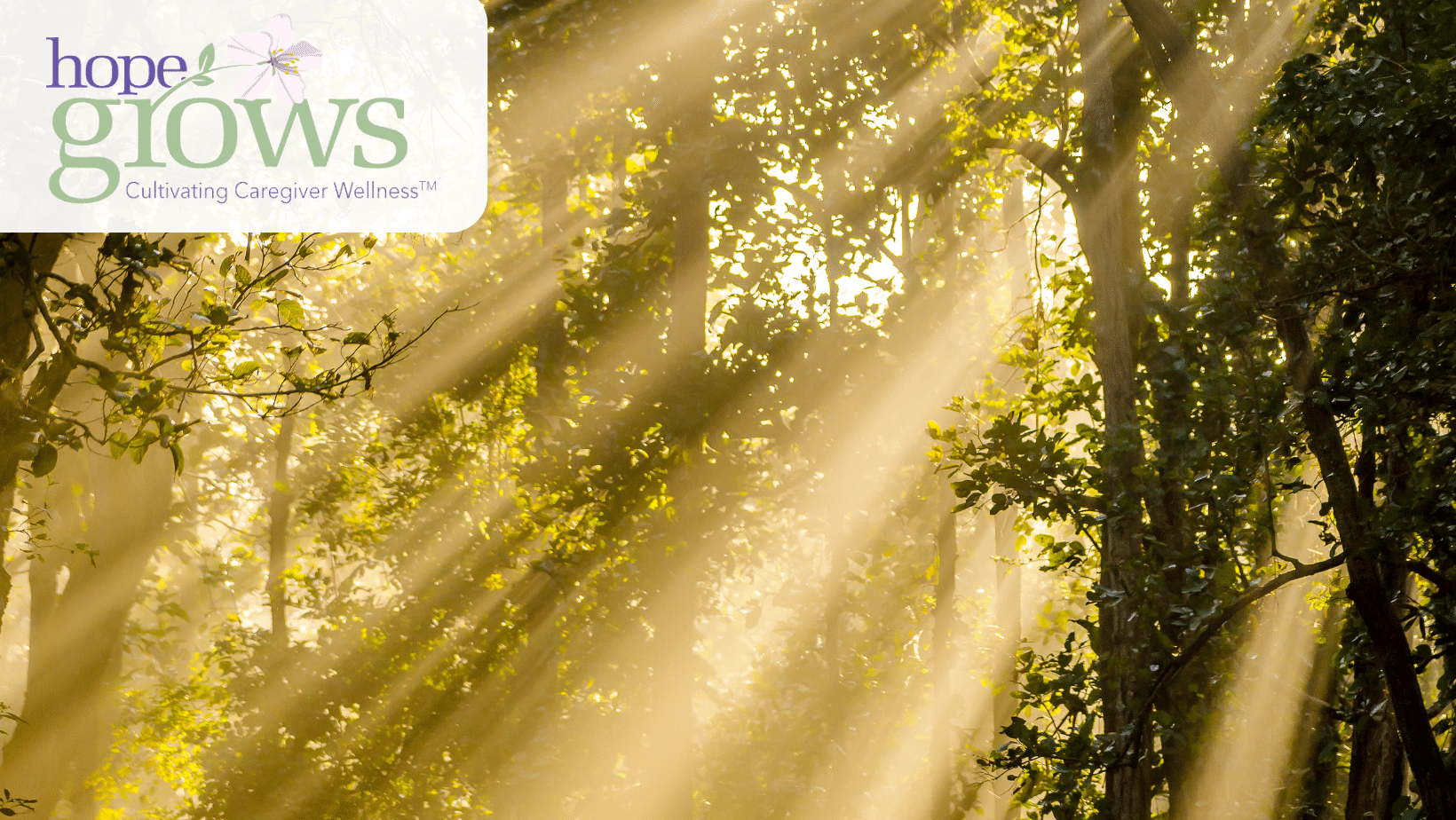 What the Light Reveals: A Summer Solstice Reflection
