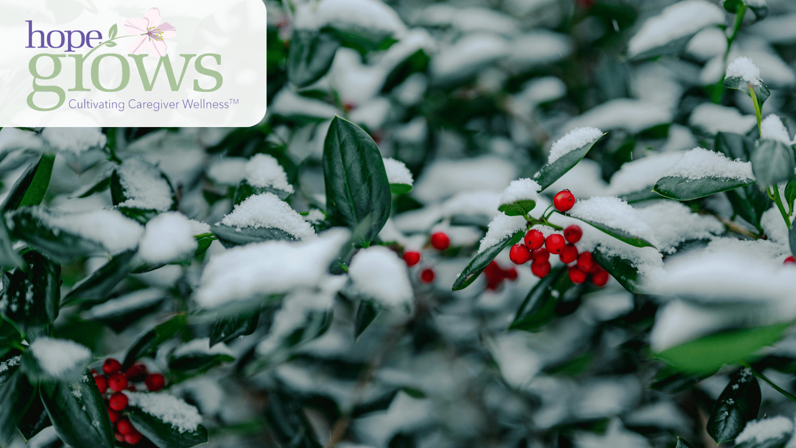 Beholding December: A Season of Stillness, Memory, and Gentle Light