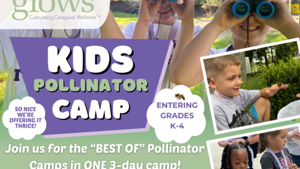 Kids pollinator camp 2026