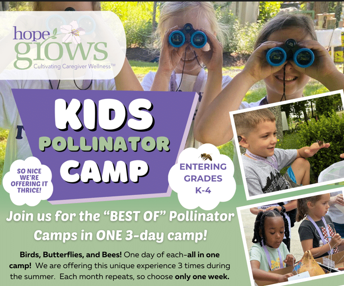 Kids pollinator camp 2026